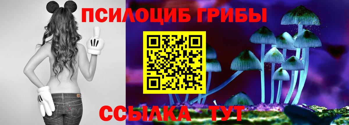 Орехово-Зуево  Галлюциногенные грибы Magic Shrooms  наркошоп  Псилоцибиновые грибы Psilocybine cubensis  Вход с VPN 